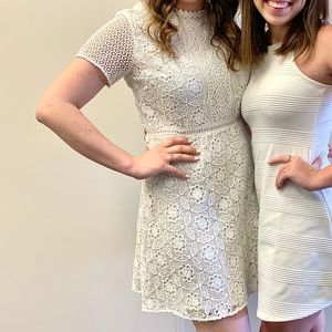 LOFT lace dress NWT